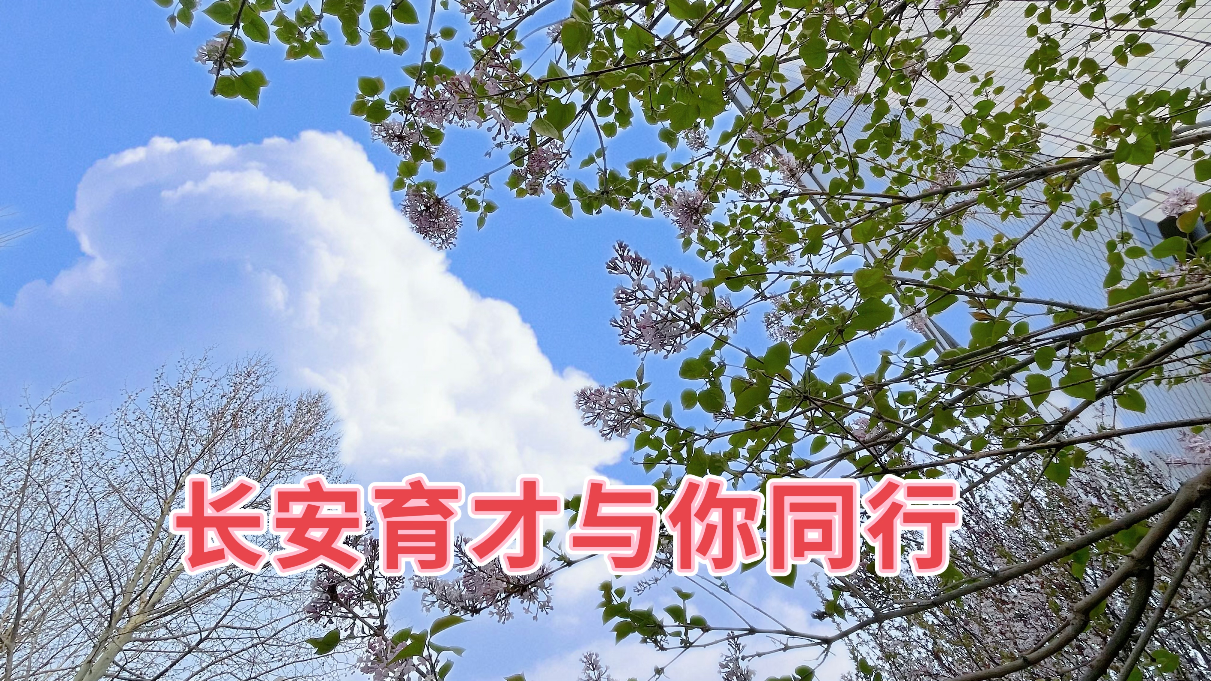 春分‖春日好時(shí)光，攜手共同行